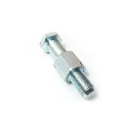 reposio PINO PORCA DE BRONZE BASC M10 -  5
